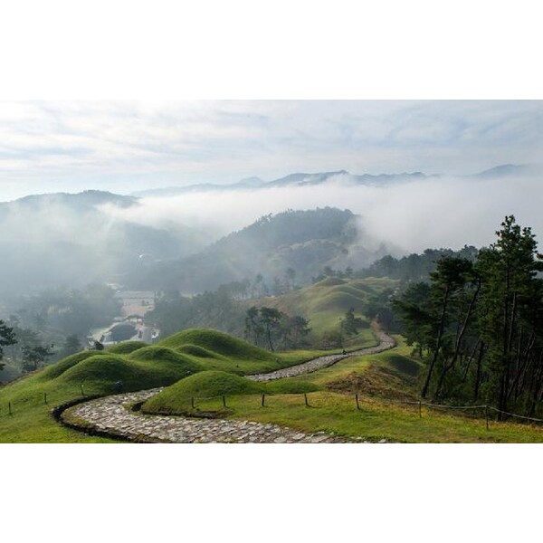테스트