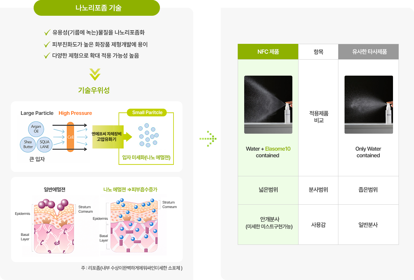 나노리포좀 기술